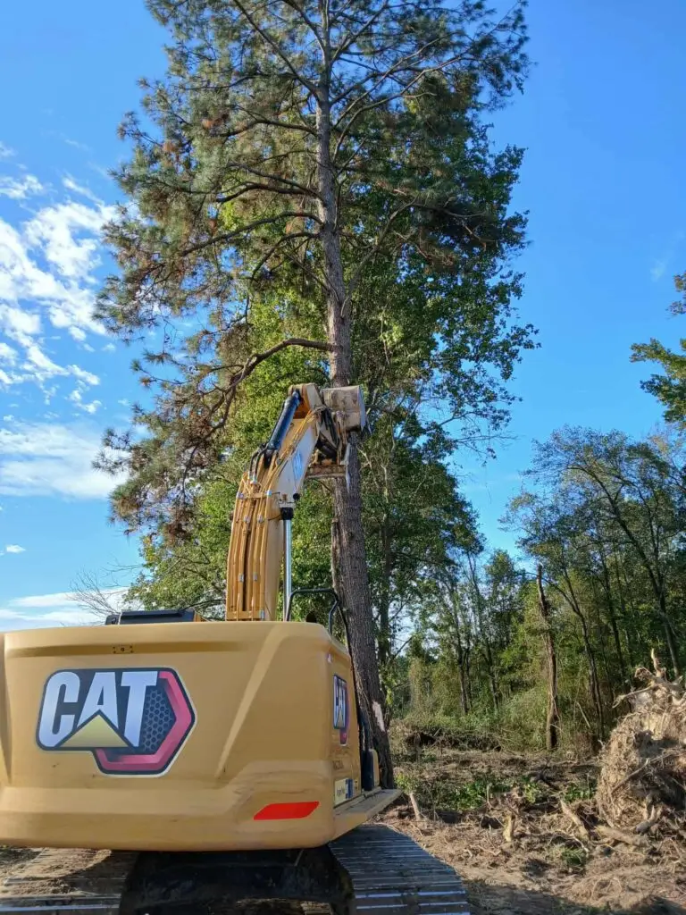 CAT excavator cutting down a tall pine tree in a forest clearing under blue sky