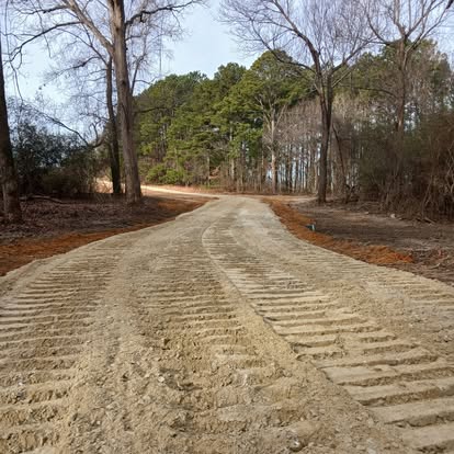Graded dirt driveway curving through trees in wooded area
